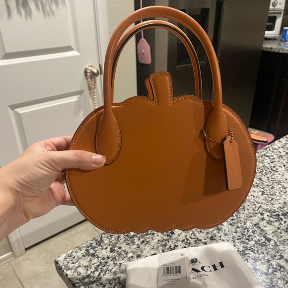 Brand new with tags coach runway pumpkin RARE - Picture 2 of 8